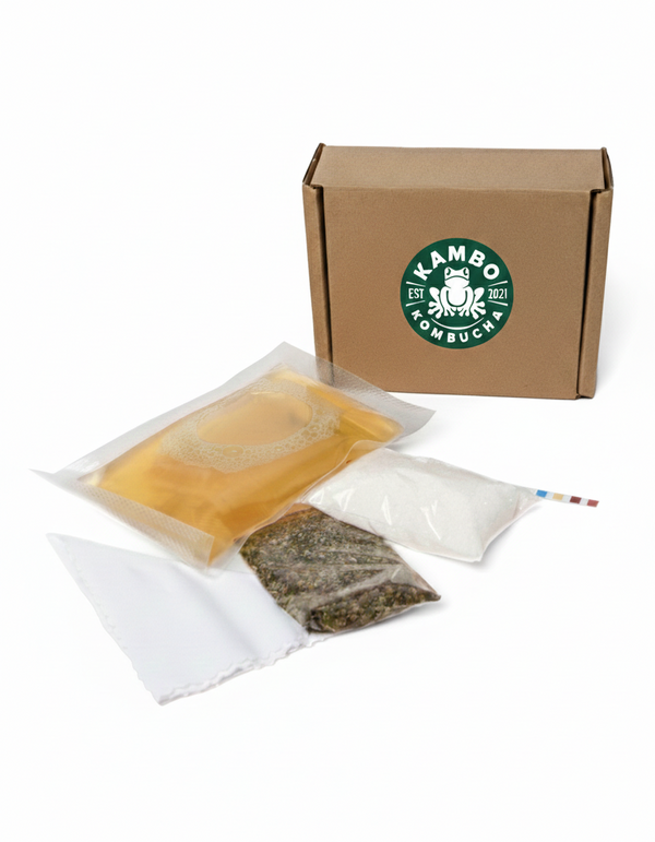 KOMBUCHA GAMINIMO RINKINYS